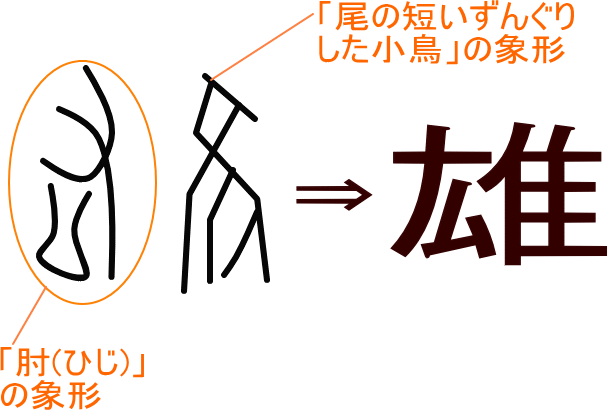 雄 という漢字の意味 成り立ち 読み方 画数 部首を学習