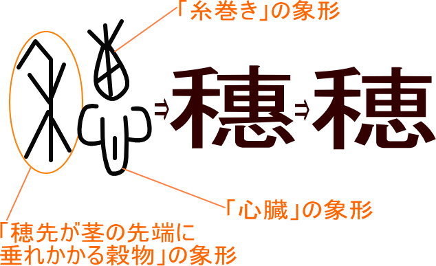 穂 穗 という漢字の意味 成り立ち 読み方 画数 部首を学習
