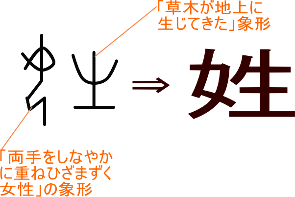 姓 という漢字の意味 成り立ち 読み方 画数 部首を学習