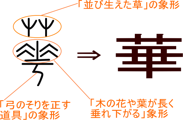 華 という漢字の意味 成り立ち 読み方 画数 部首を学習