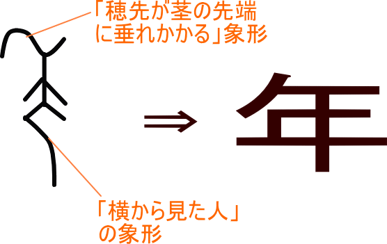 年 という漢字の意味 成り立ち 読み方 画数 部首を学習