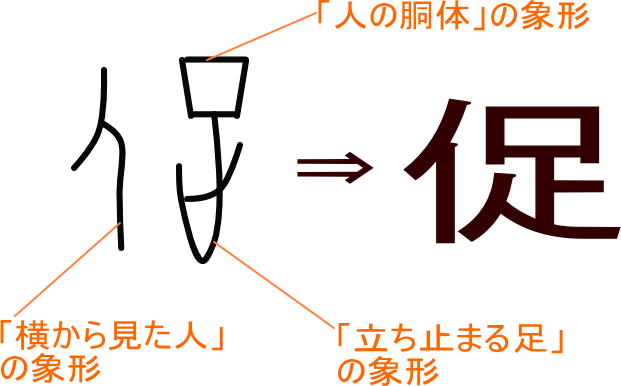 促 という漢字の意味 成り立ち 読み方 画数 部首を学習