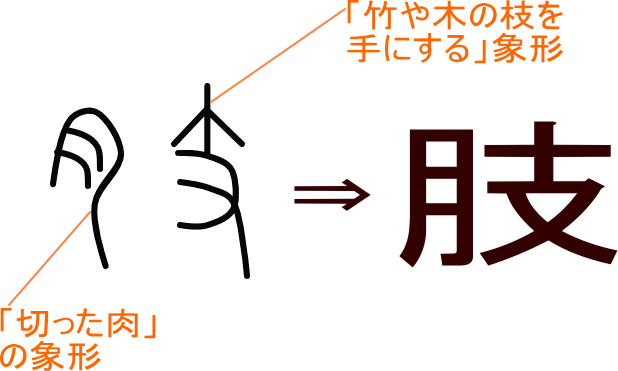 肢 という漢字の意味 成り立ち 読み方 画数 部首を学習