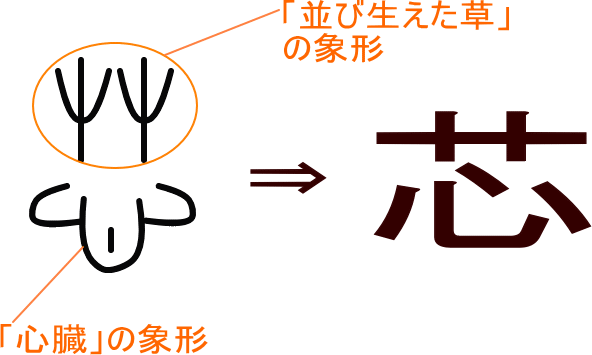 芯 という漢字の意味 成り立ち 読み方 画数 部首を学習
