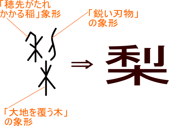 梨 という漢字の意味 成り立ち 読み方 画数 部首を学習