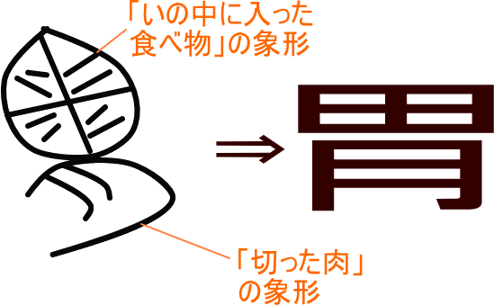 胃 という漢字の意味 成り立ち 読み方 画数 部首を学習
