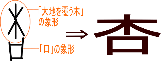 杏 という漢字の意味 成り立ち 読み方 画数 部首を学習