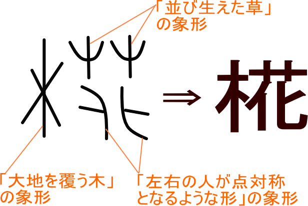 椛 という漢字の意味 成り立ち 読み方 画数 部首を学習
