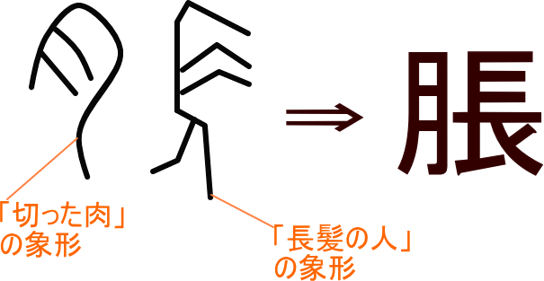 脹 という漢字の意味 成り立ち 読み方 画数 部首を学習