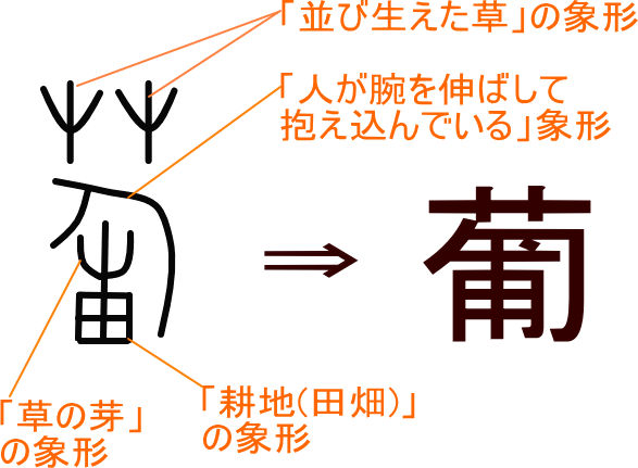 葡 という漢字の意味 成り立ち 読み方 画数 部首を学習