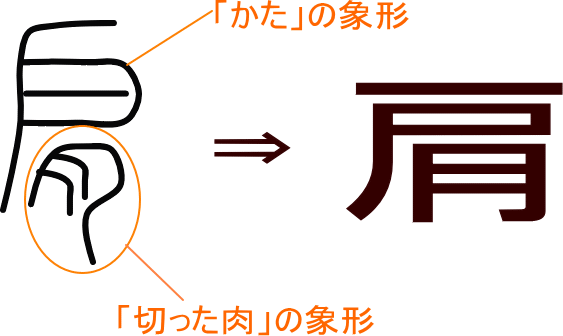 肩 という漢字の意味 成り立ち 読み方 画数 部首を学習