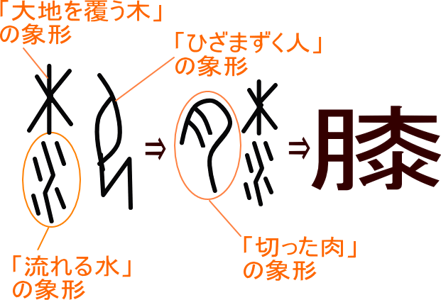 膝 という漢字の意味 成り立ち 読み方 画数 部首を学習