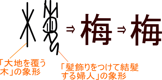 梅 梅 という漢字の意味 成り立ち 読み方 画数 部首を学習