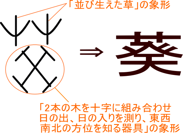 葵 という漢字の意味 成り立ち 読み方 画数 部首を学習