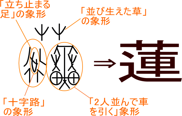 蓮 という漢字の意味 成り立ち 読み方 画数 部首を学習