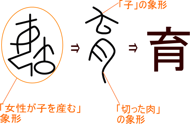 育 という漢字の意味 成り立ち 読み方 画数 部首を学習