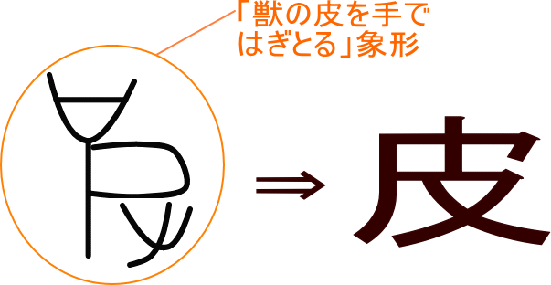 皮 という漢字の意味 成り立ち 読み方 画数 部首を学習