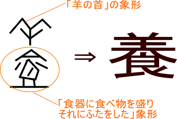 養 という漢字の意味 成り立ち 読み方 画数 部首を学習