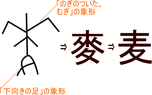 麦 麥 という漢字の意味 成り立ち 読み方 画数 部首を学習
