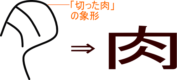 肉 という漢字の意味 成り立ち 読み方 画数 部首を学習